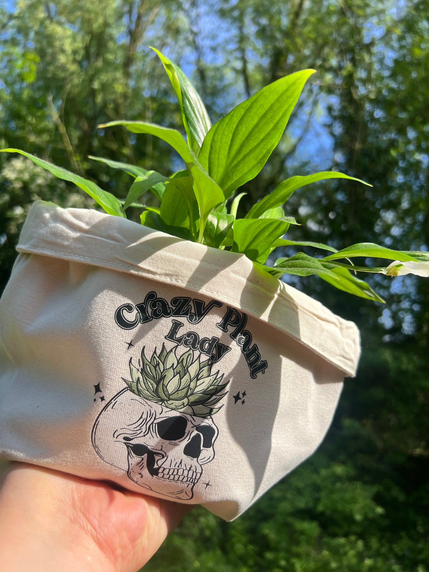 Crazy Plant Lady Alternative Skull House plants Canvas Planter