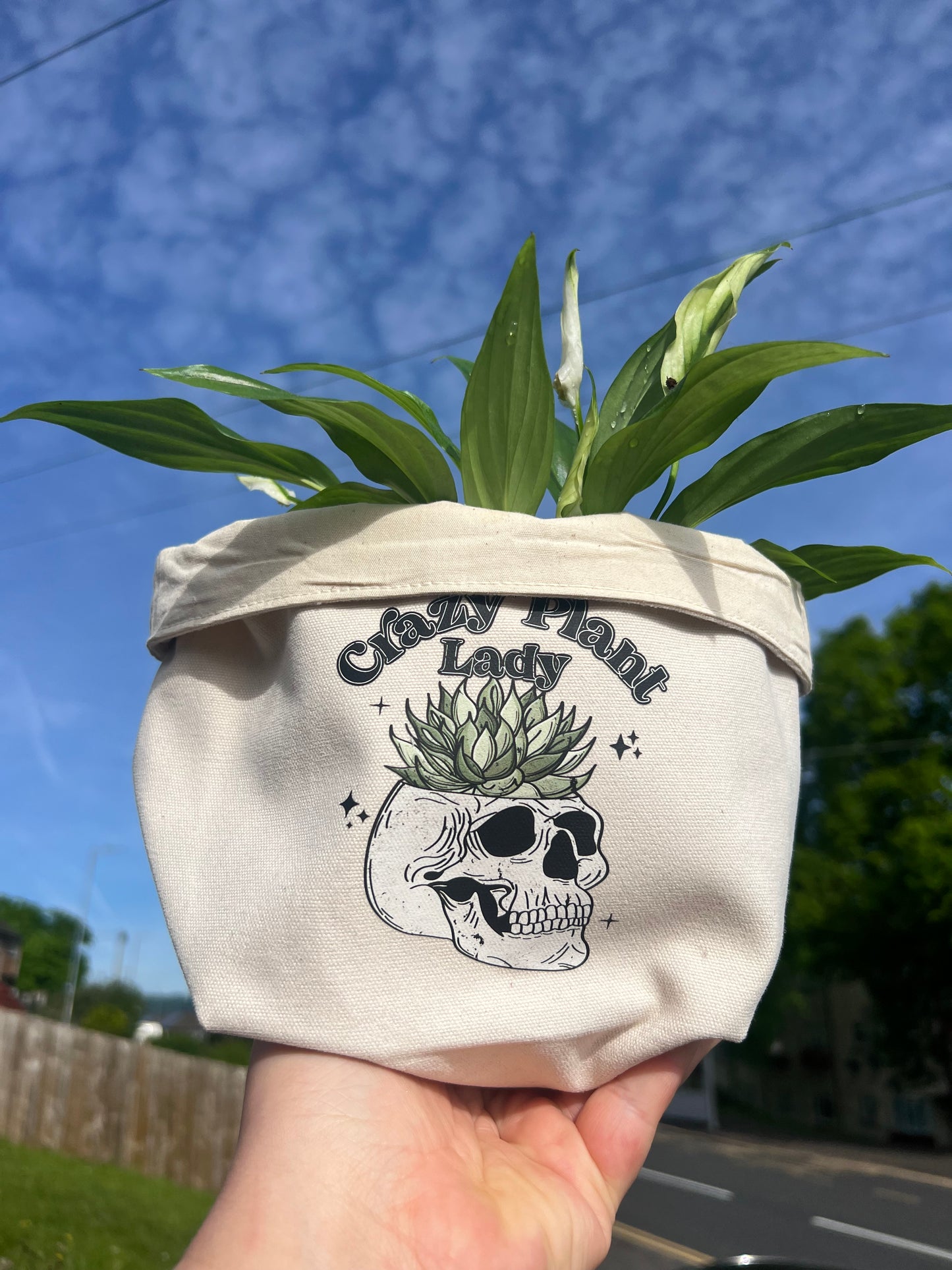 Crazy Plant Lady Alternative Skull House plants Canvas Planter