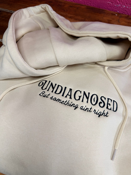 Undiagnosed, Neurodiverse Range Embroidered Heavyweight Premium Hoodie