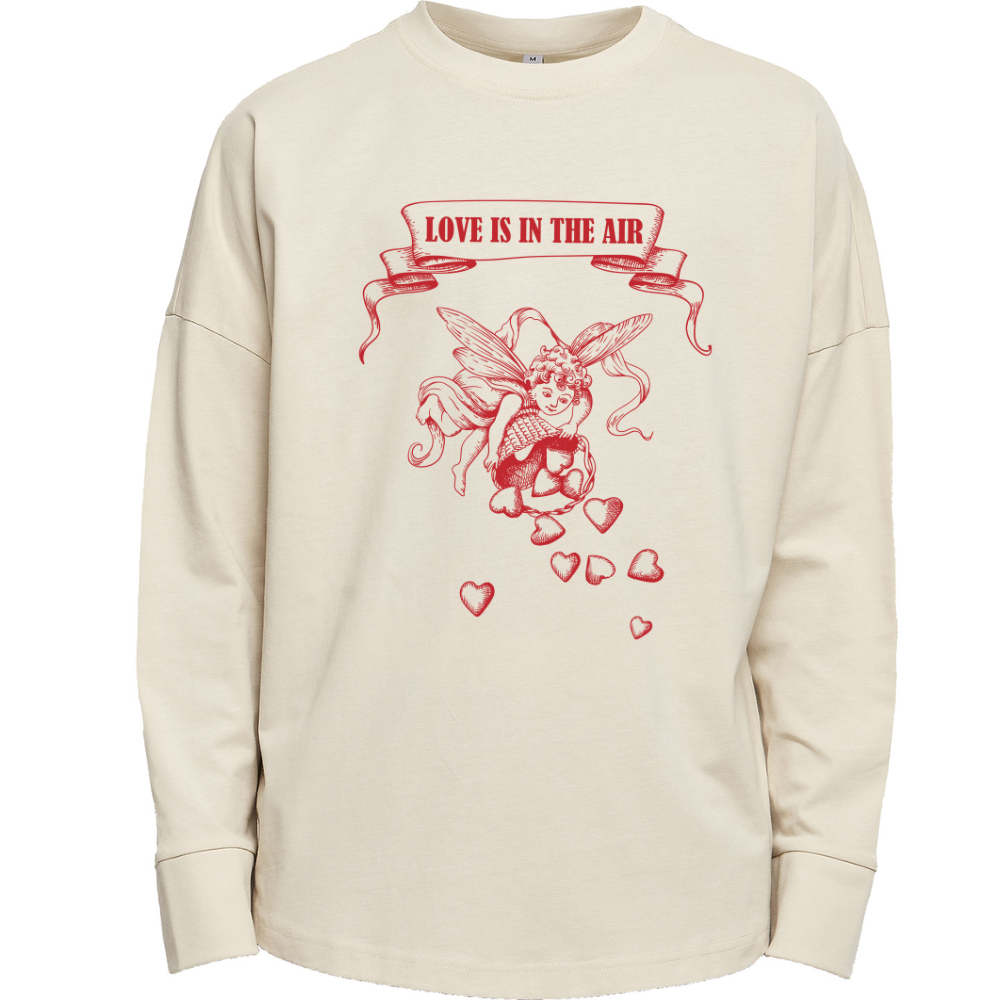 Love is in the Air Cupid Valentines Long Sleeve Premium Overszied T-shirt